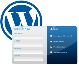 Wordpress カスタムフィールド